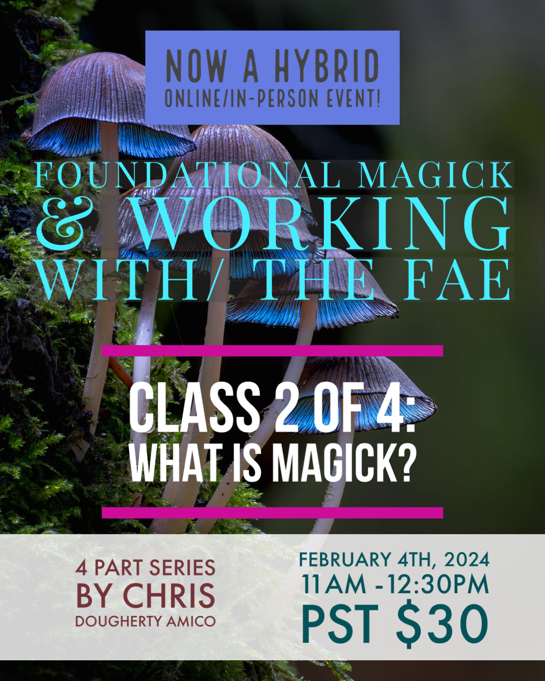 (Hybrid Zoom/In-Person) Foundational Magick & Working with the Fae  - What is Magick? - February 4th, 2024 11am -12:30pm