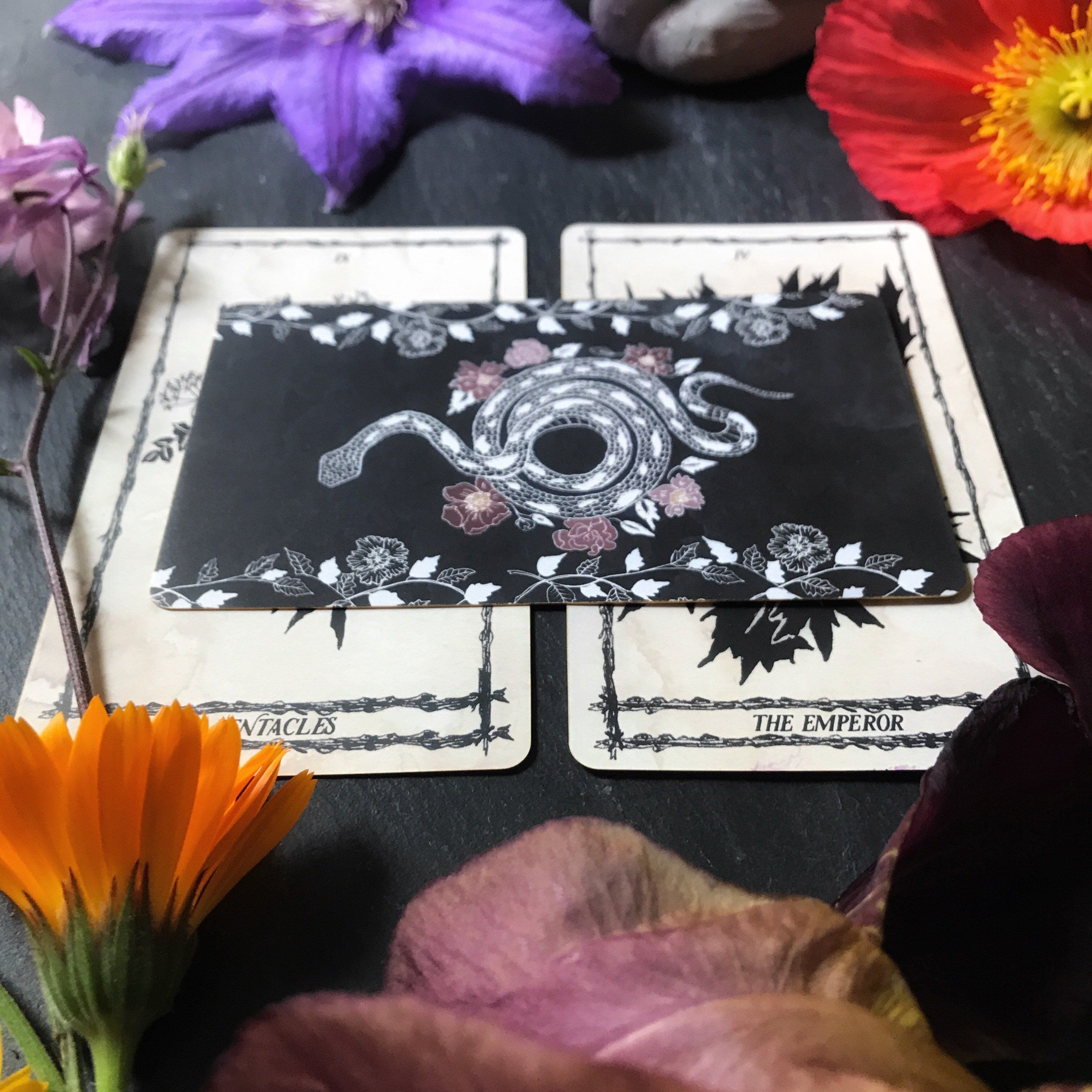 Ophida Rosa Tarot - Keven Craft Rituals