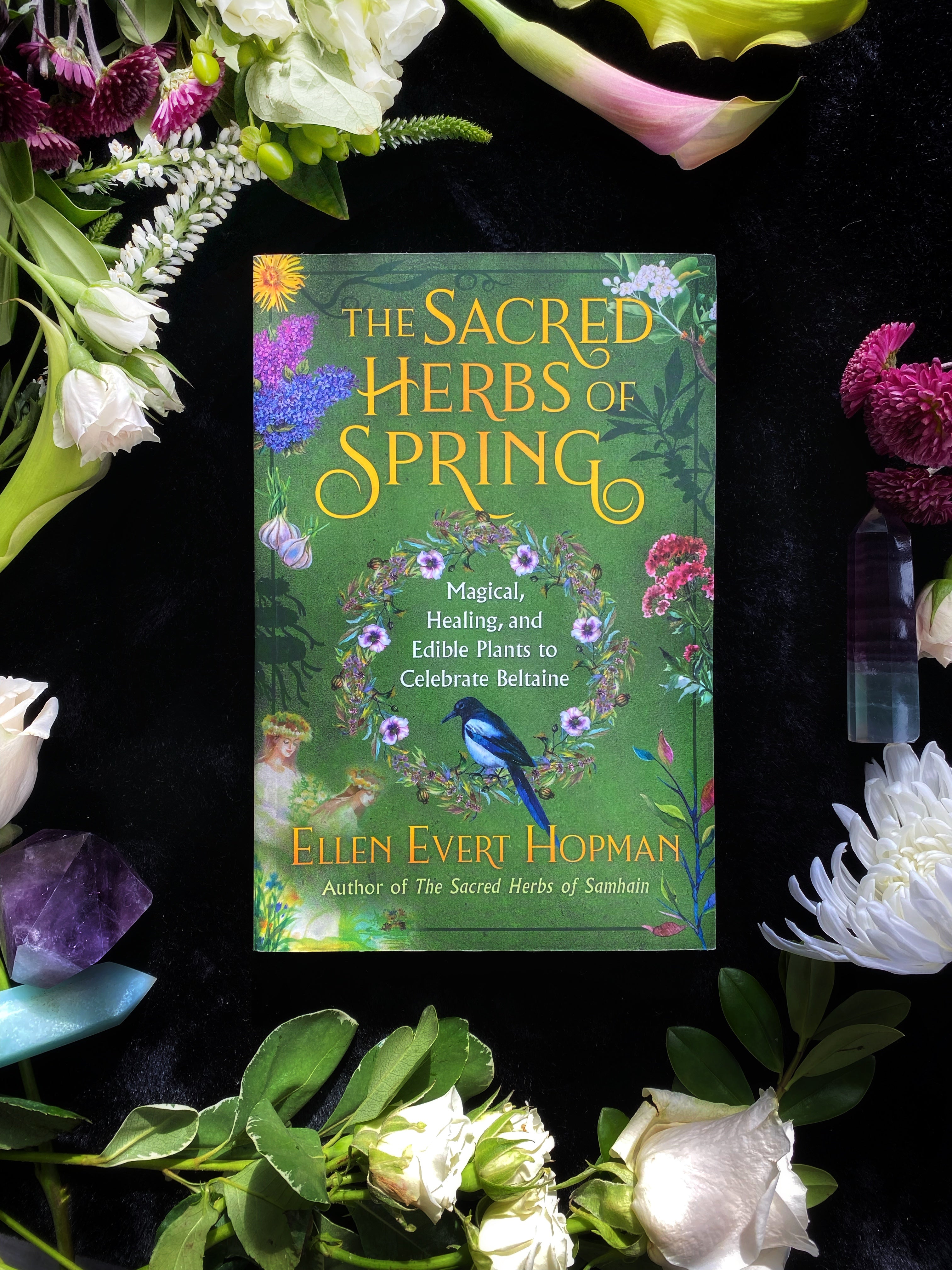 Sacred Herbs of Spring : Magical, Healing, and Edible Plants to Celebrate Beltaine