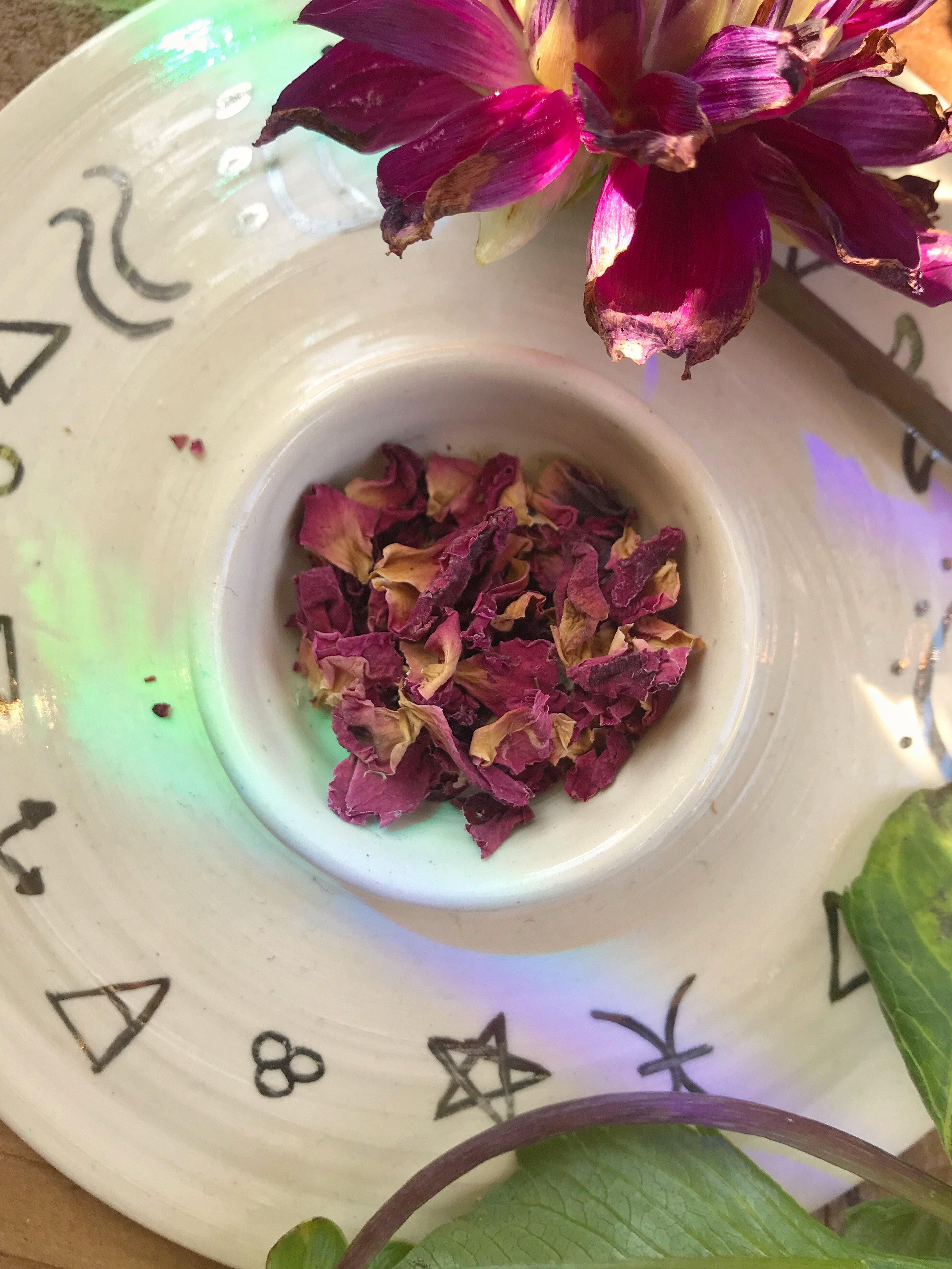 Rose Petals (Rosa centifolia) - Witching Flowers - Keven Craft Rituals