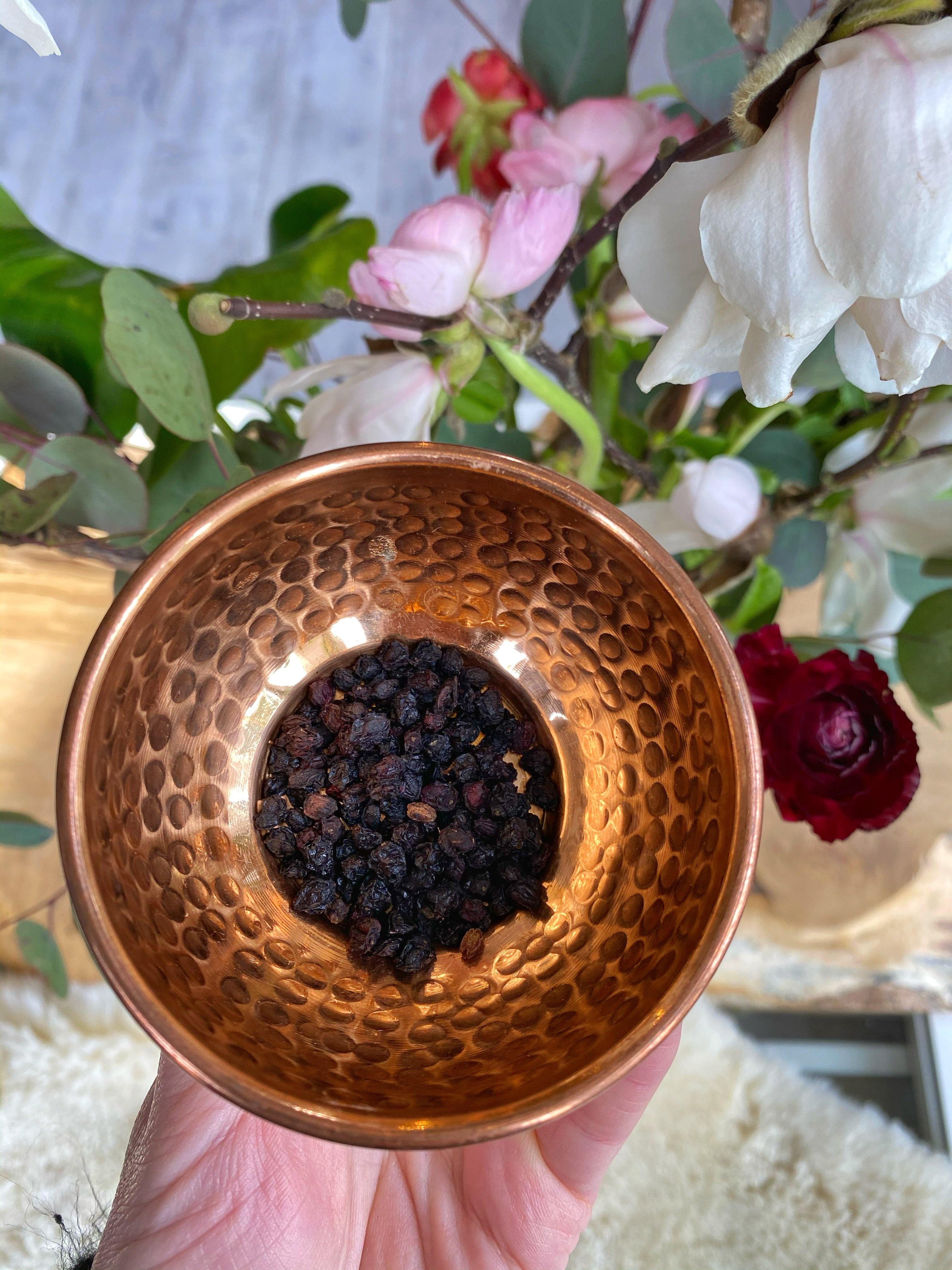 Black Elderberry (Sambucus nigra) - Witching Herbs - Keven Craft Rituals