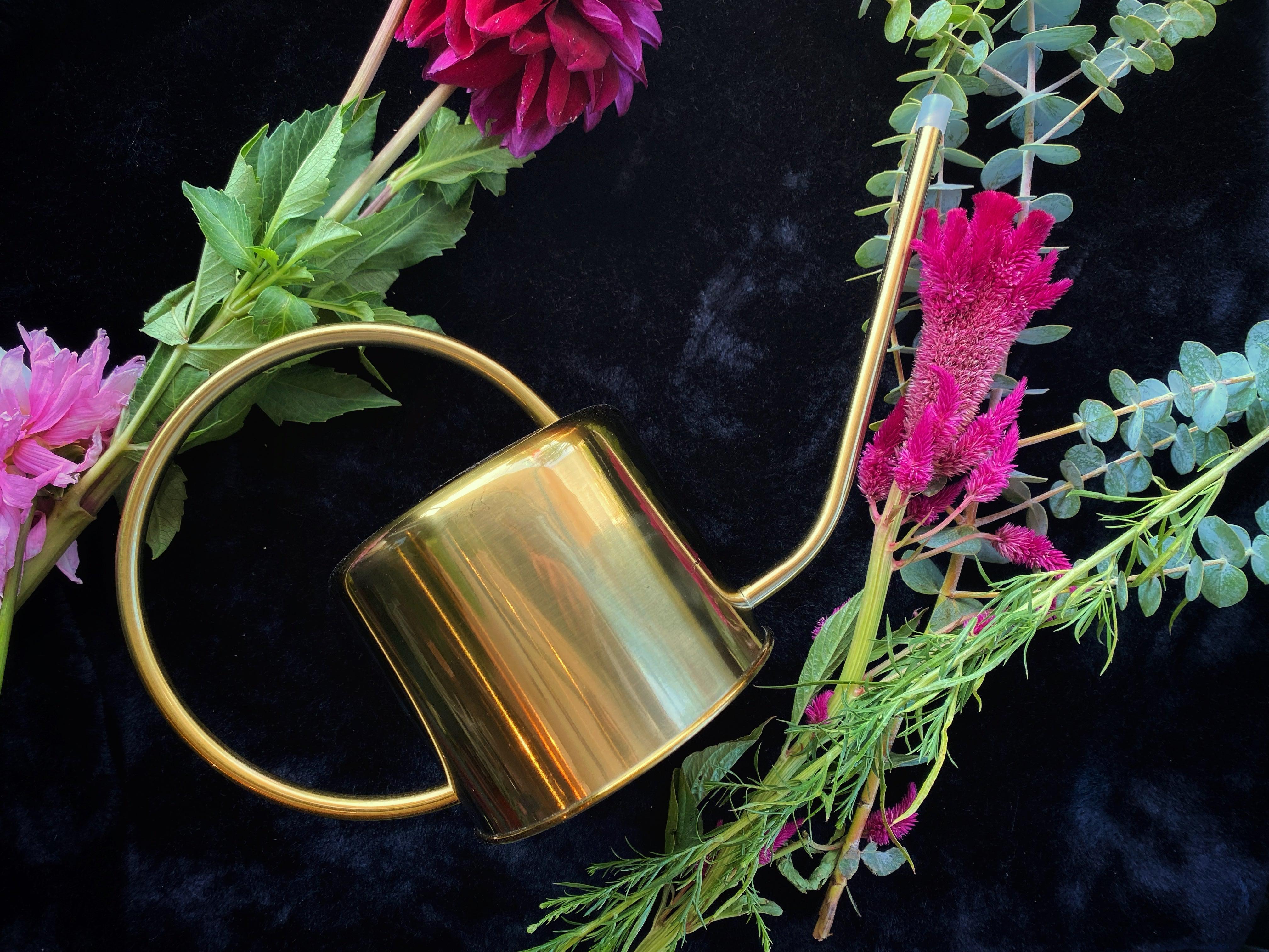 Brass Watering Can - Keven Craft Rituals