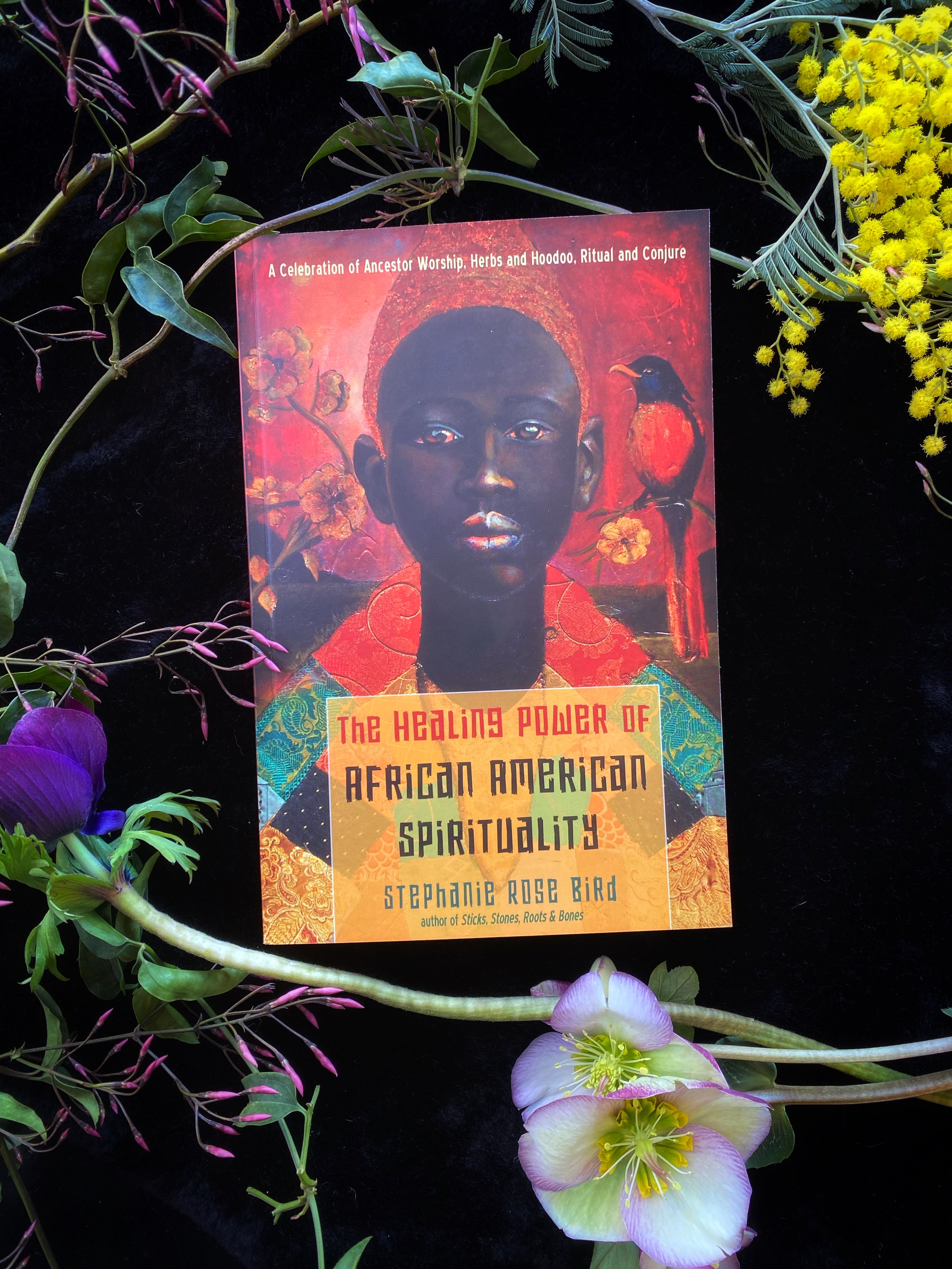 The Healing Power of African-American Spirituality : A Celebration of Ancestor Worship, Herbs and Hoodoo, Ritual and Conjure