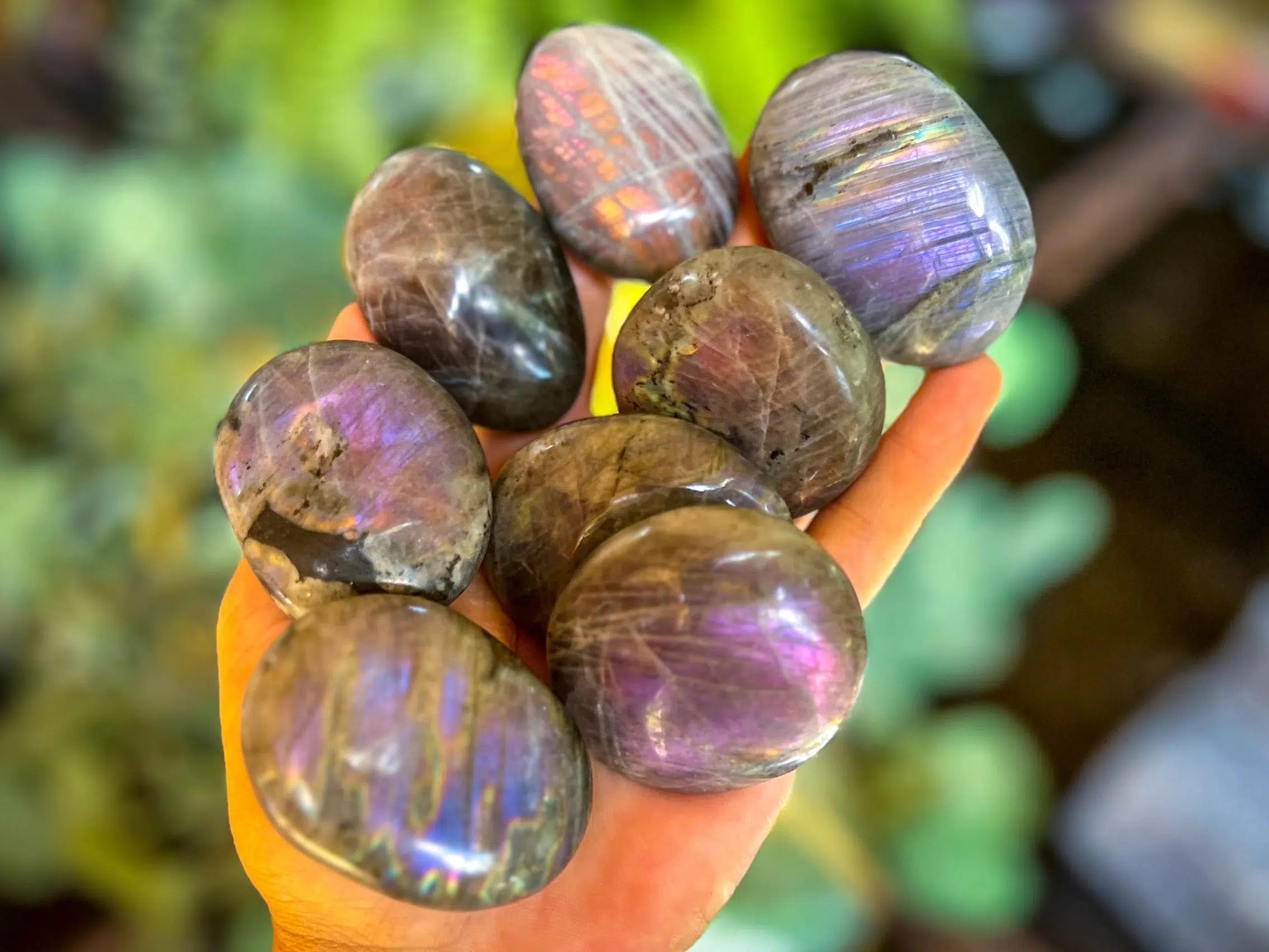 Purple Flash Labradorite - Palm Stones