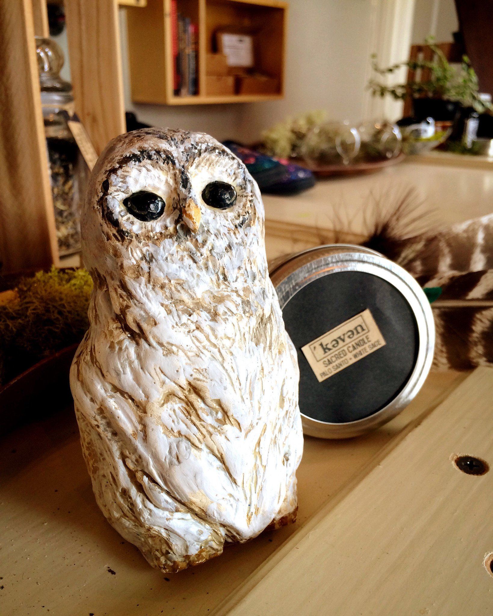 Protection Owl - Figurine - Keven Craft Rituals