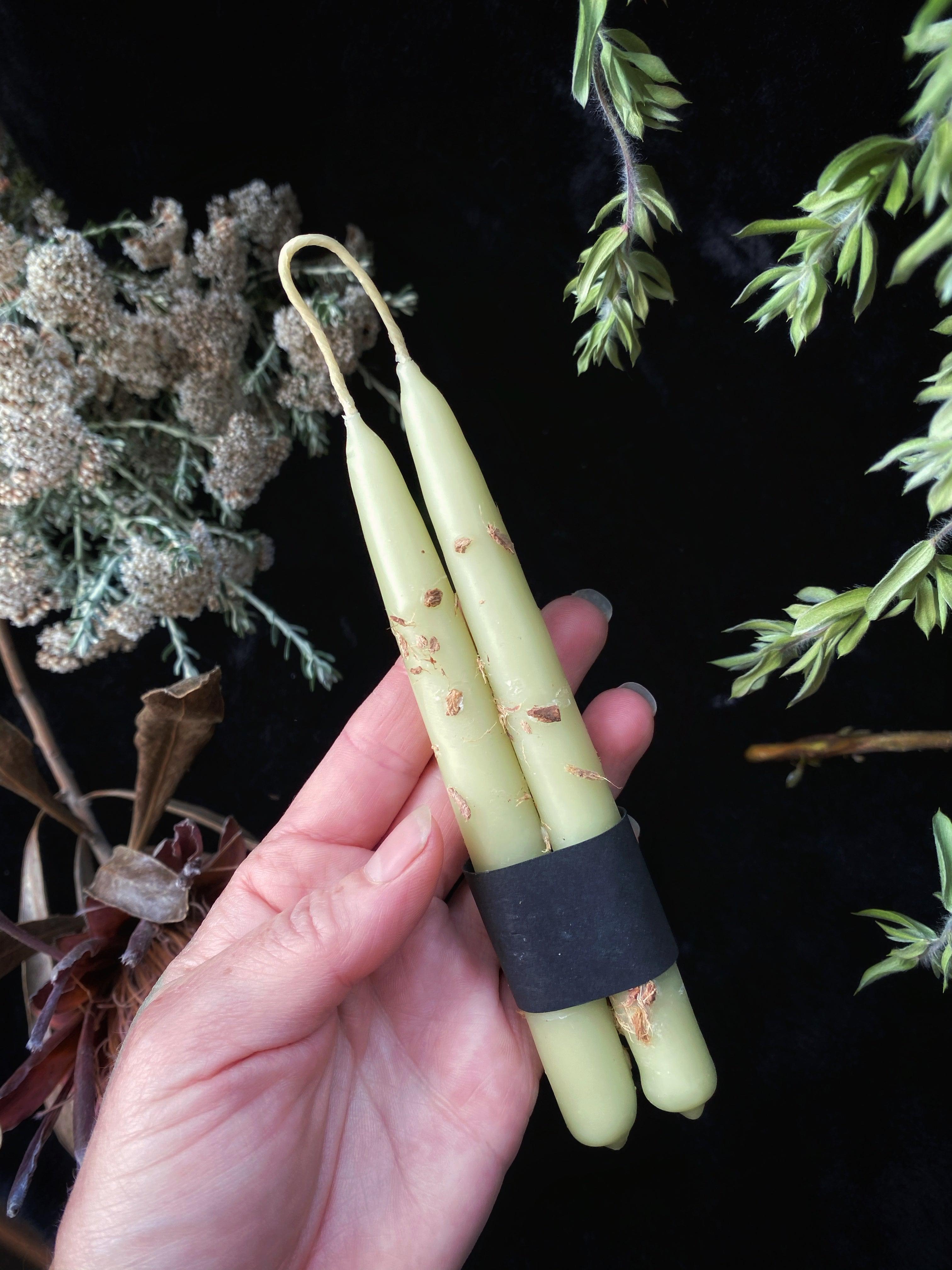 Bayberry Witches Wands - Hand Dipped, Taper Beeswax & Bayberry Wax Prosperity (6" Chime) Candles - Keven Craft Rituals
