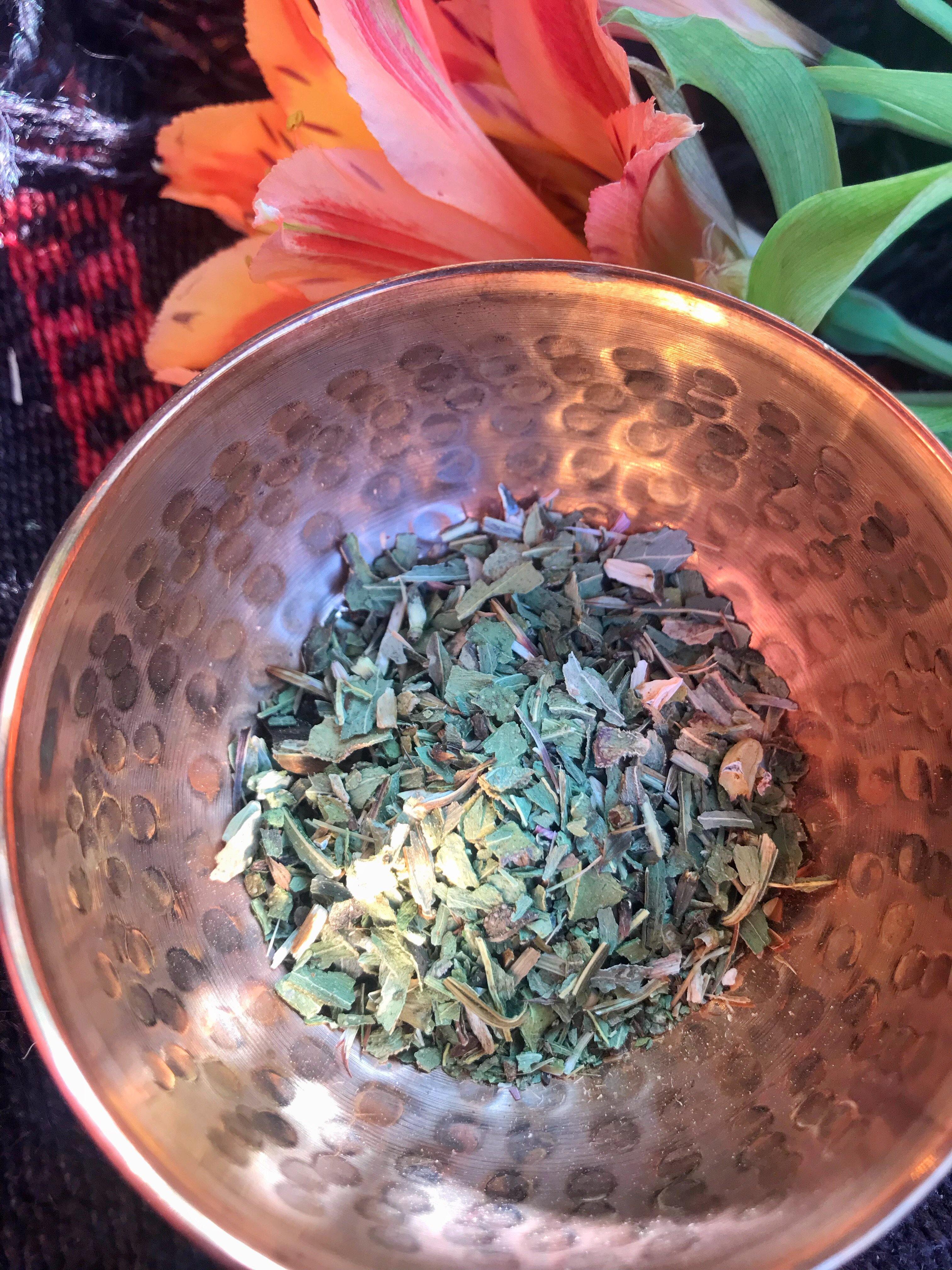 Echinacea (Echinacea Angustifolia) - Witching Herbs - Keven Craft Rituals