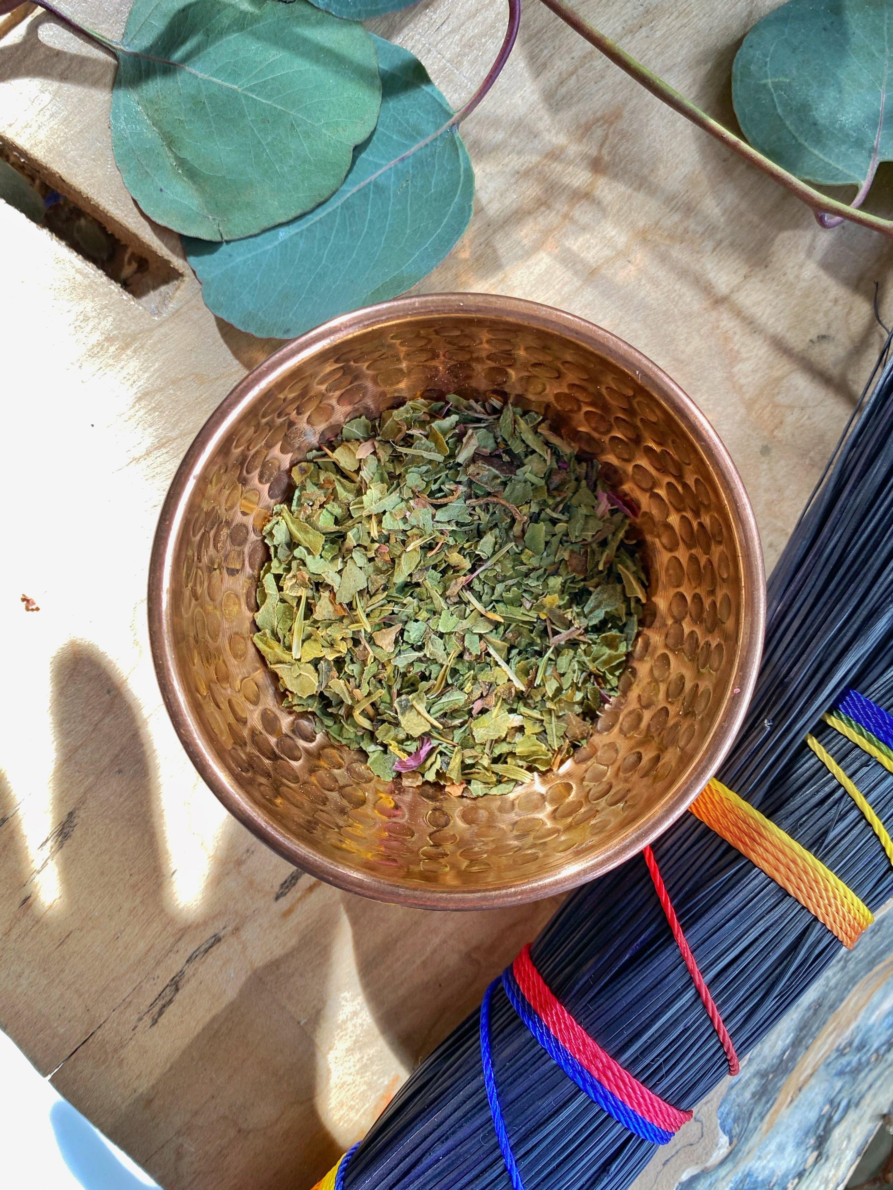 Echinacea (Echinacea Purpurea) - Witching Herbs - Keven Craft Rituals