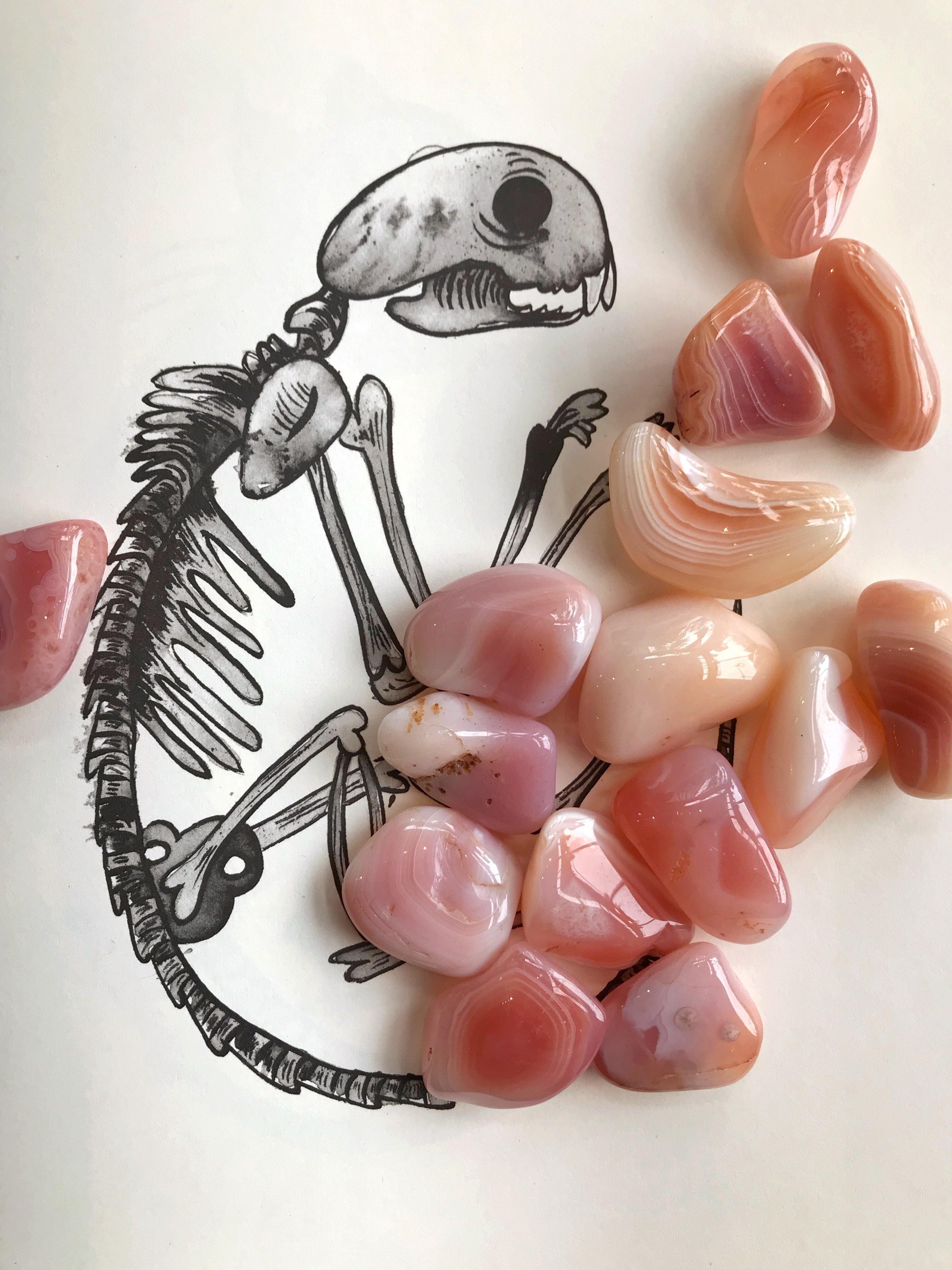 Pink Apricot Agate (Pink Carnelian) - Tumbled - Keven Craft Rituals