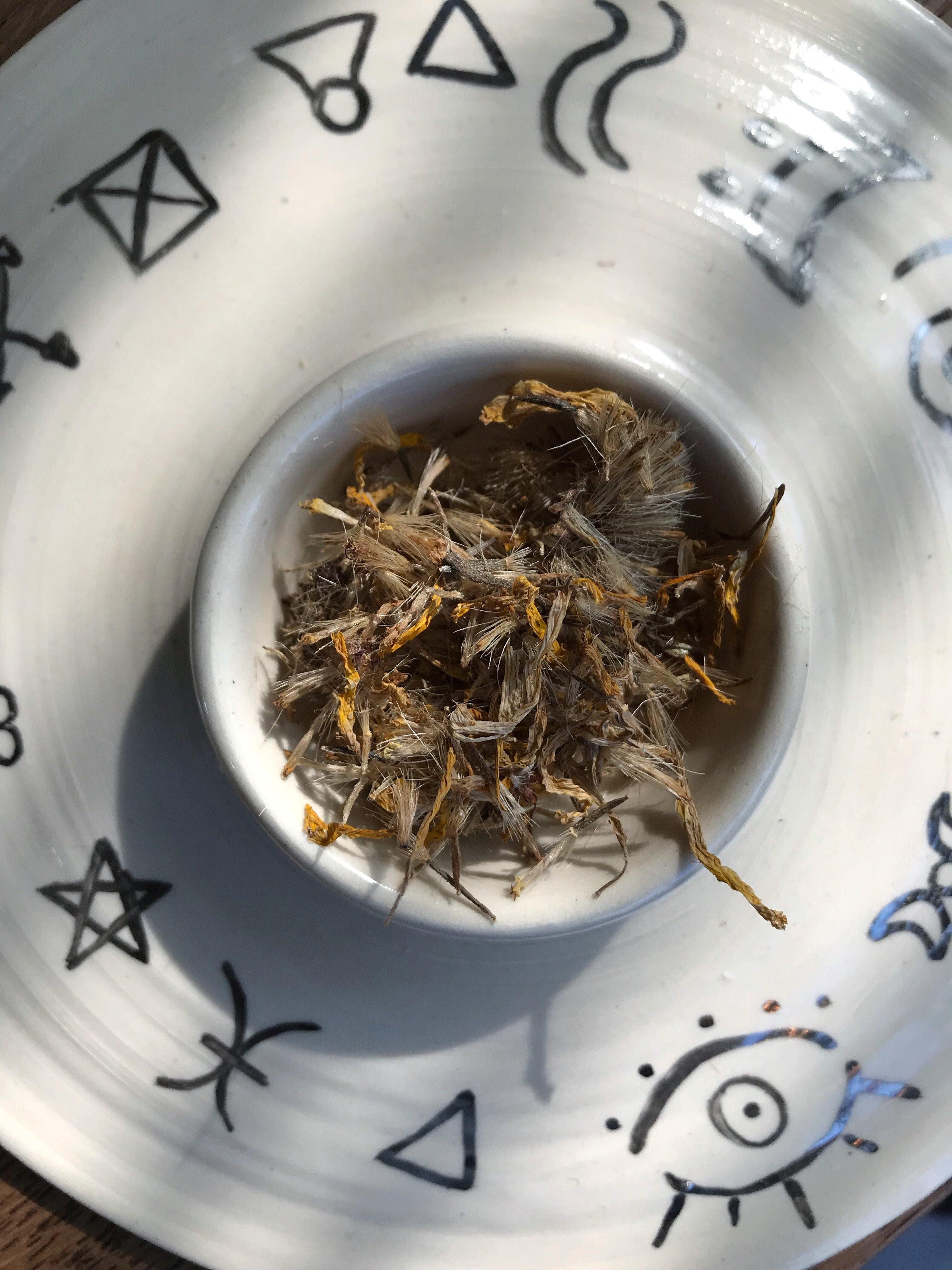 Arnica (Arnica montana) - Witching Flowers - Keven Craft Rituals