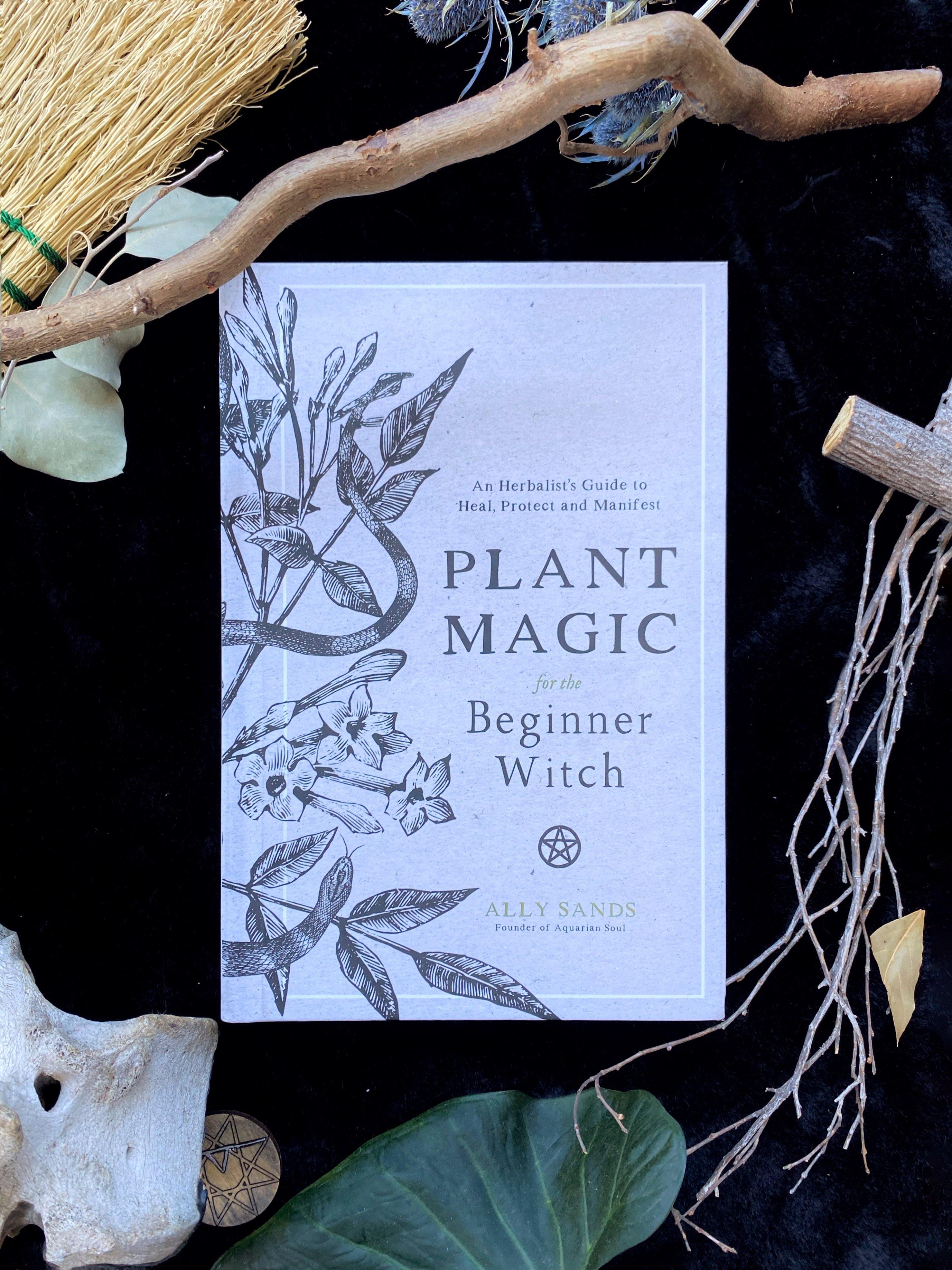 Plant Magic for the Beginner Witch : An Herbalist's Guide to Heal, Protect and Manifest - qmeb