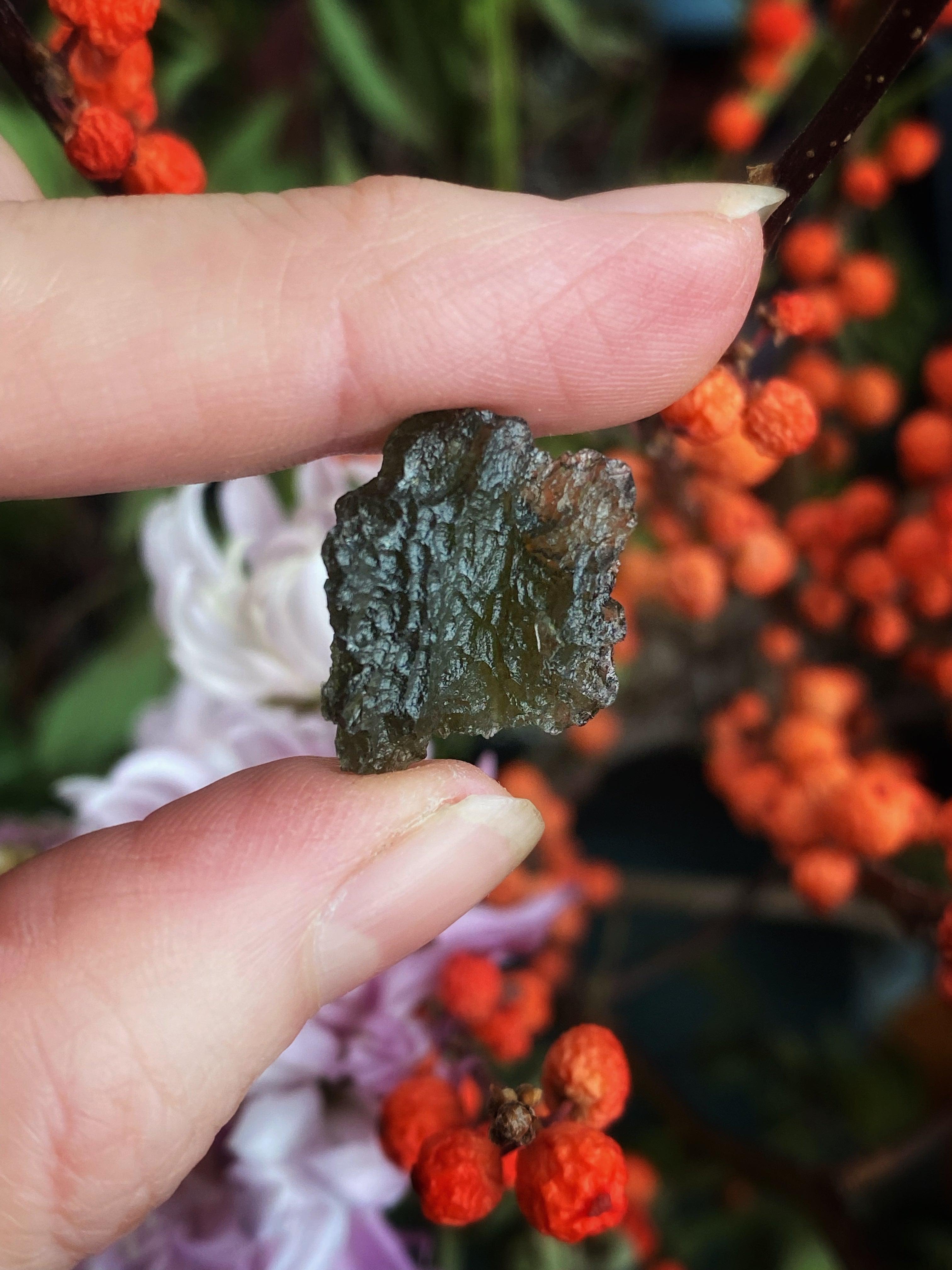 Moldavite Crystals - (Rare) Authentic and Certified Czech - Keven Craft Rituals