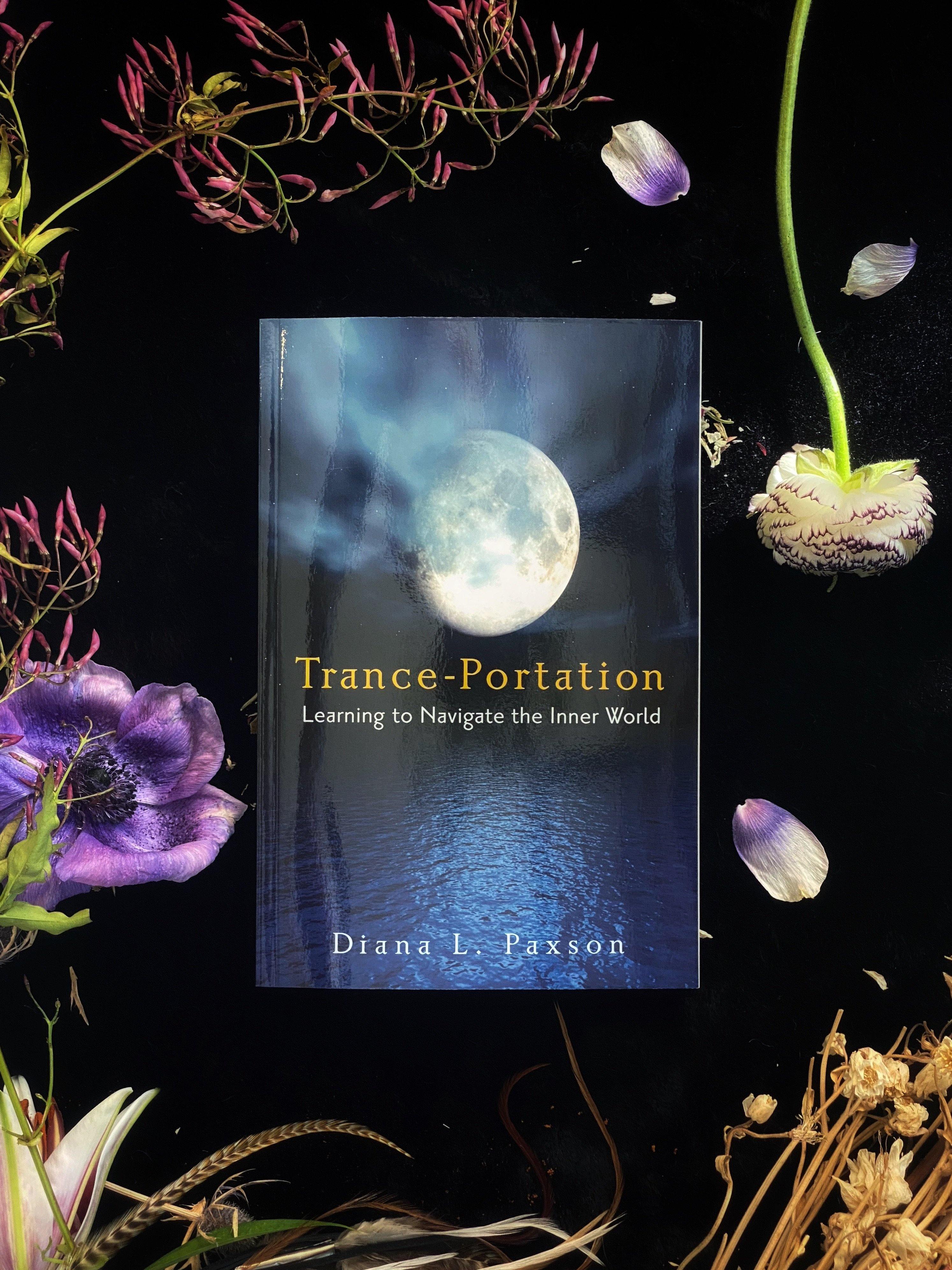 Trance-Portation : Learning to Navigate the Inner World - qmeb