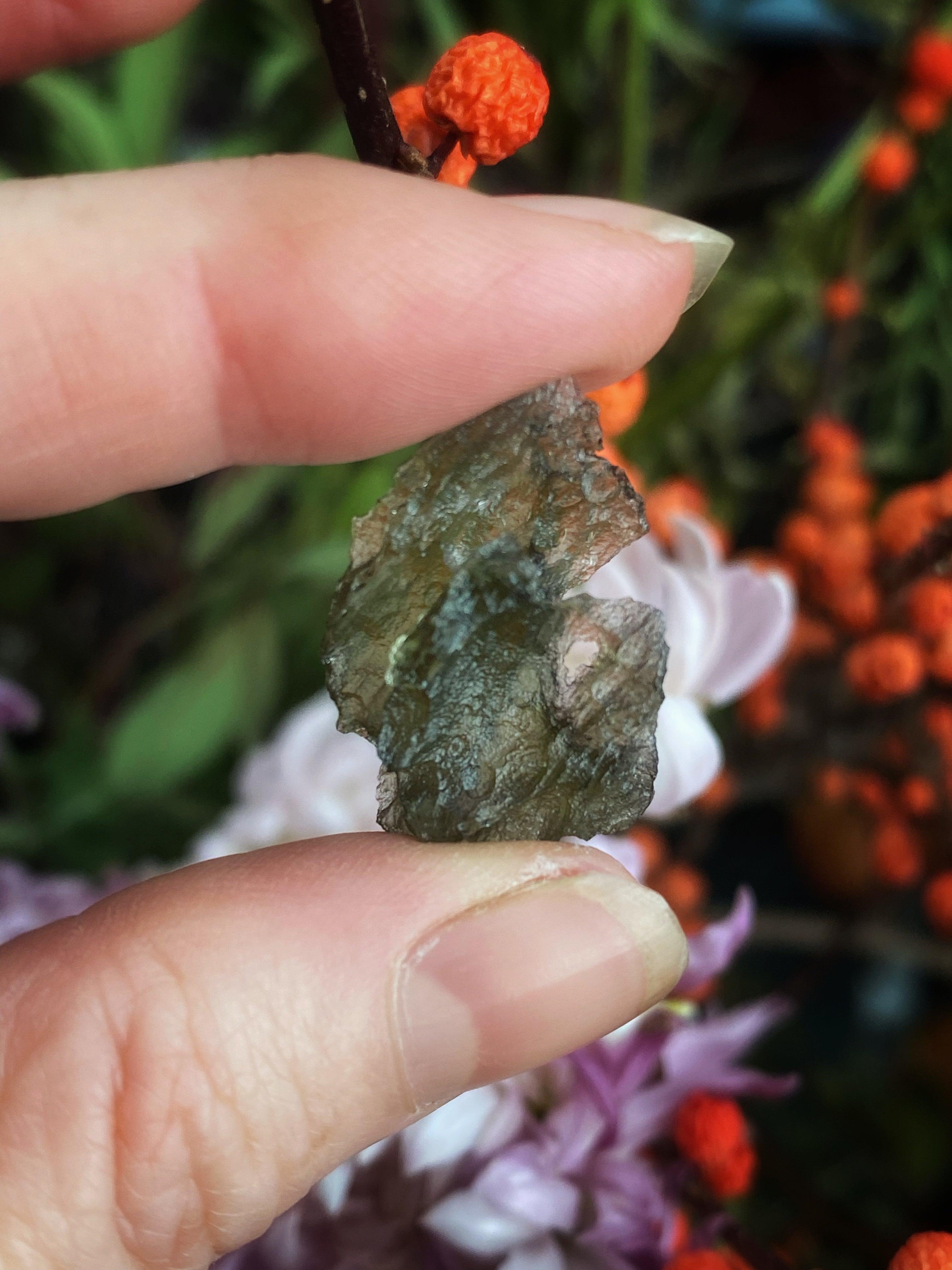 Moldavite Crystals - (Rare) Authentic and Certified Czech - Keven Craft Rituals