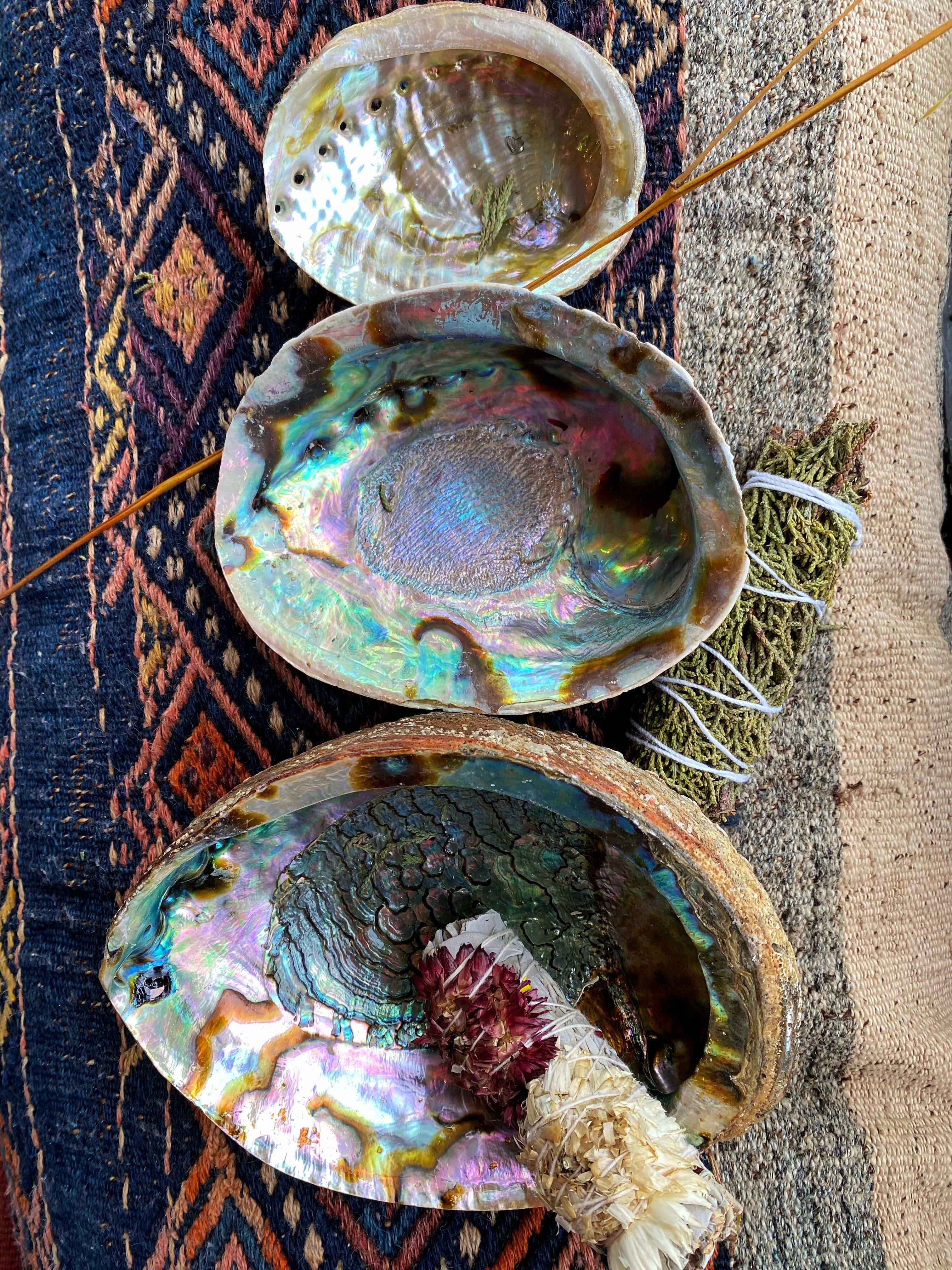 Abalone Shell - Traditional Incense/Sageing Base - Keven Craft Rituals