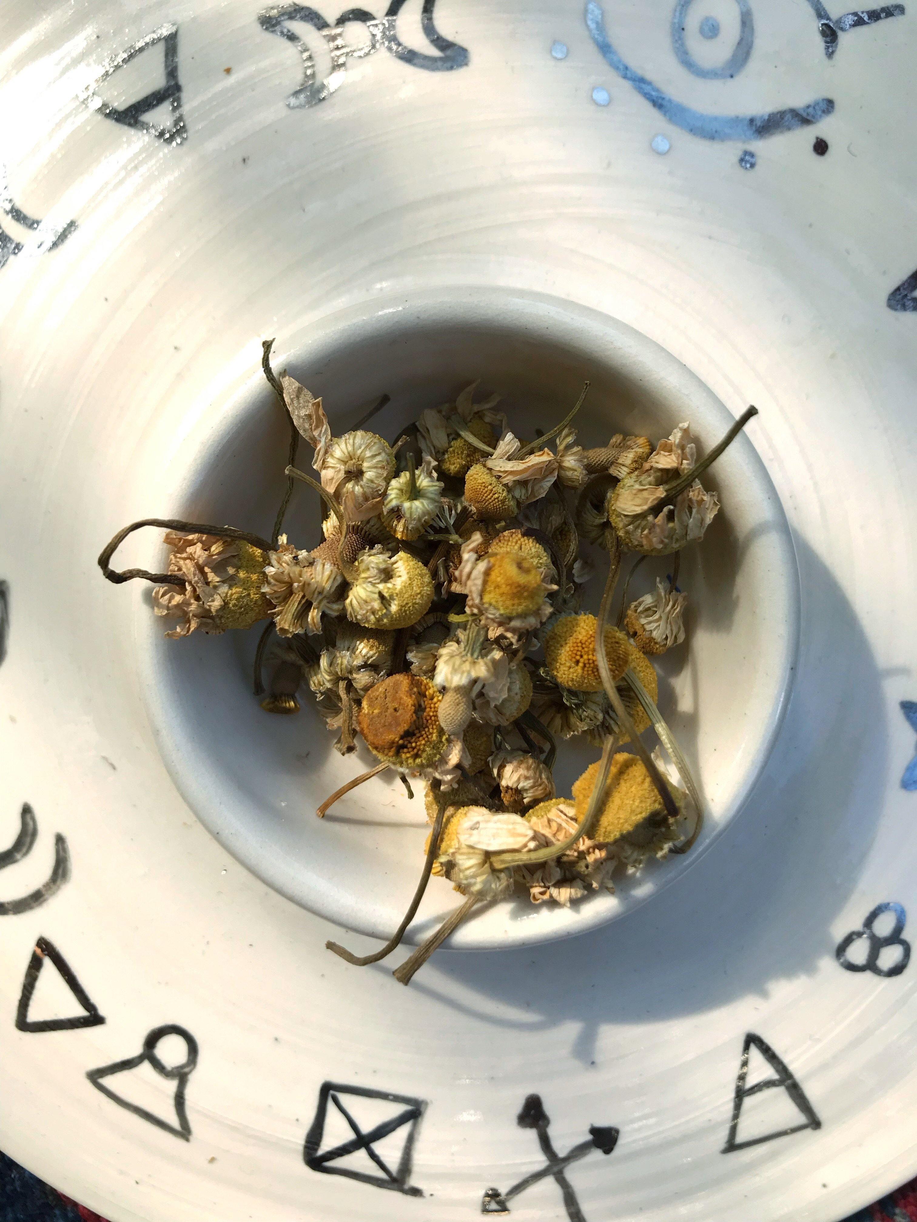 Chamomile (Matricaria recutita) - Witching Flowers - Keven Craft Rituals