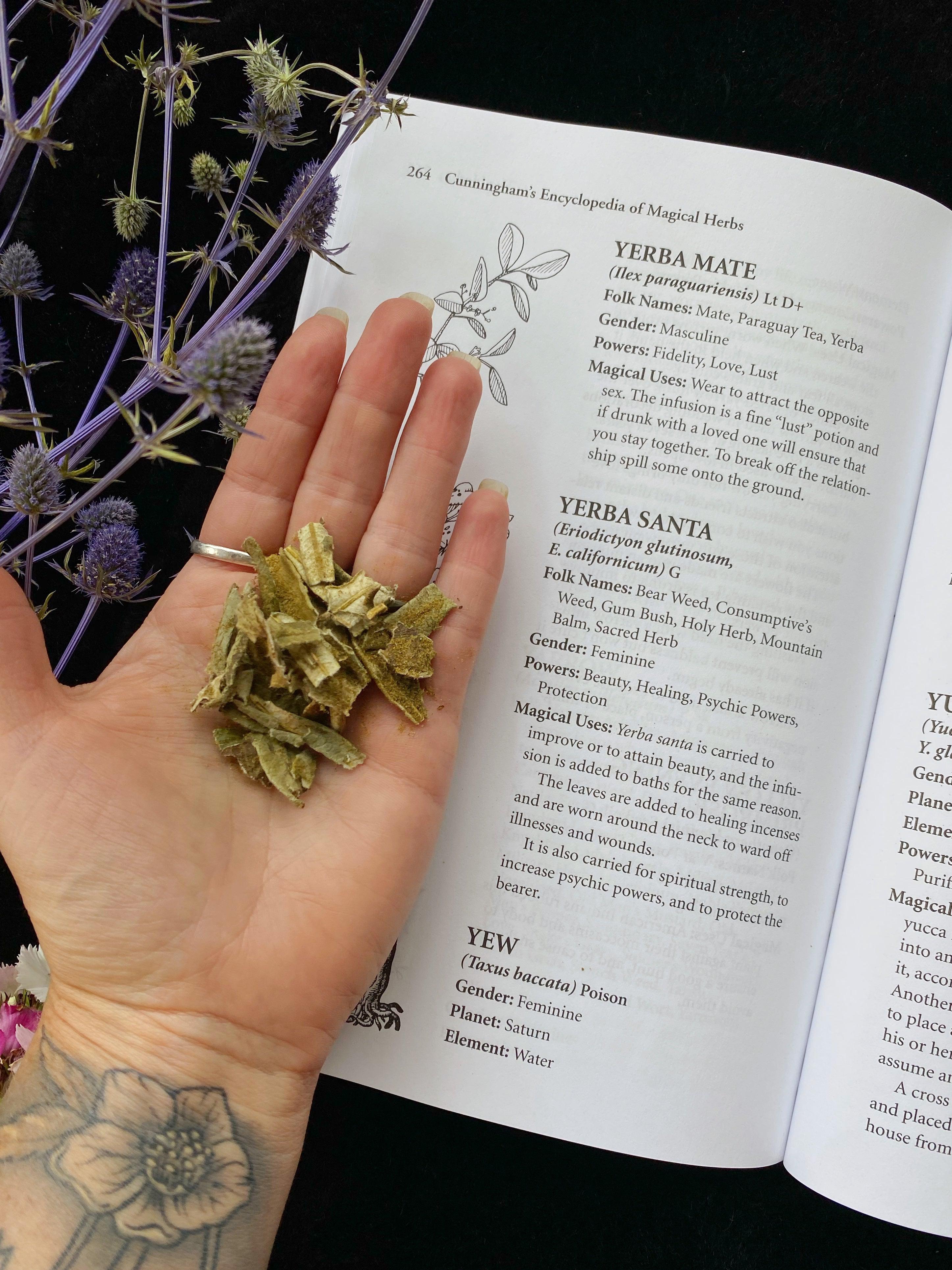 Yerba Santa (Eriodictyon californicum) - Witching Herbs - Keven Craft Rituals